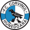 Corvinul Hunedoara logo